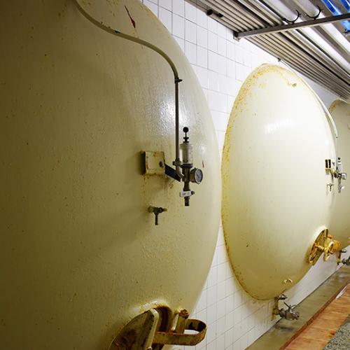 Pivovar Broumov Opat 3